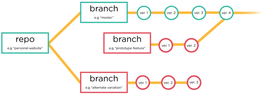 example branches